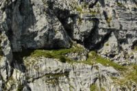 2014-08-02_06FritzPflaum-Steig (153).JPG